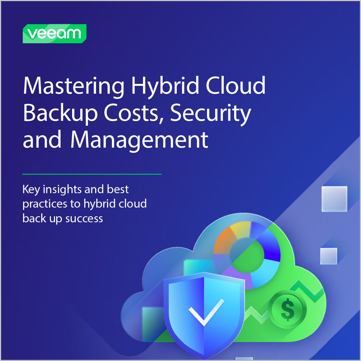 Master Hybrid Cloud Backup Costs, Security and Management E-Book